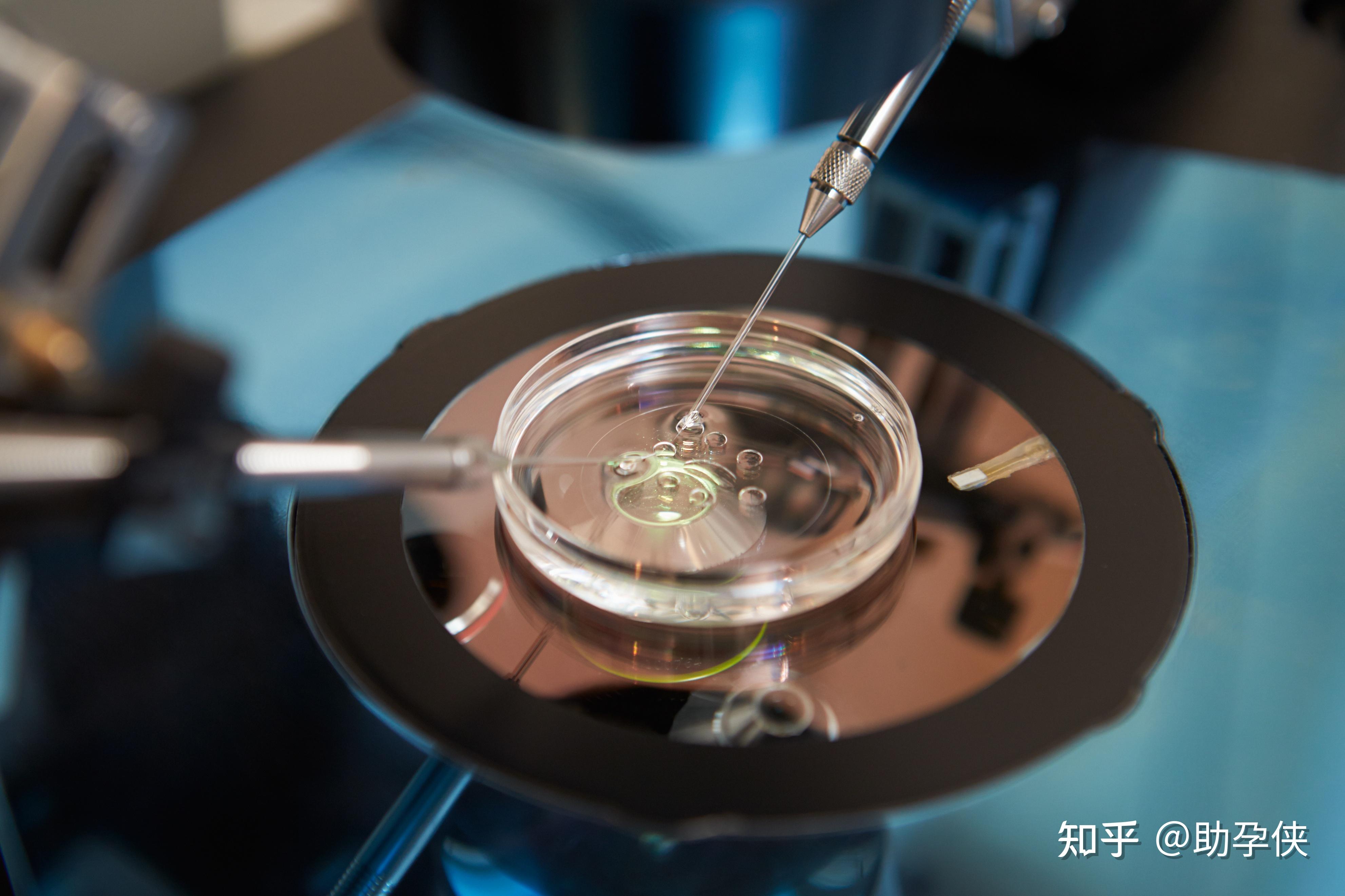 经期能否喝咖啡？ 经期能否喝咖啡吗